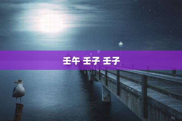 壬午 壬子 壬子