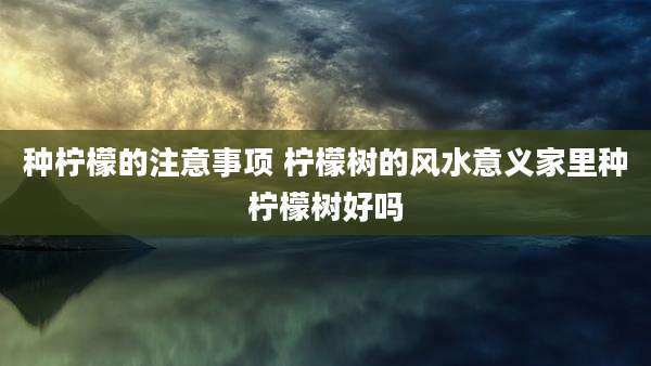 种柠檬的注意事项 柠檬树的风水意义家里种柠檬树好吗