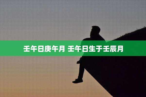 壬午日庚午月 壬午日生于壬辰月
