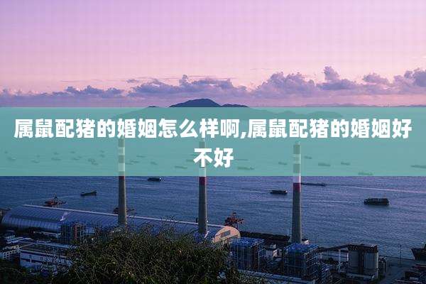 属鼠配猪的婚姻怎么样啊,属鼠配猪的婚姻好不好