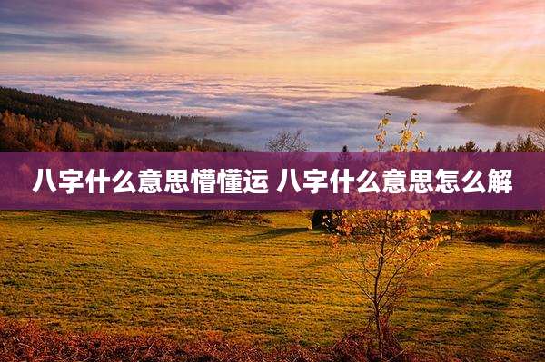 八字什么意思懵懂运 八字什么意思怎么解