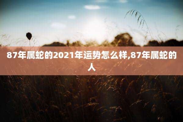 87年属蛇的2021年运势怎么样,87年属蛇的人