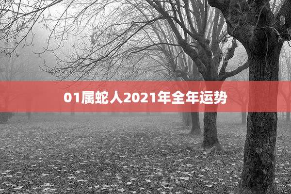 01属蛇人2021年全年运势