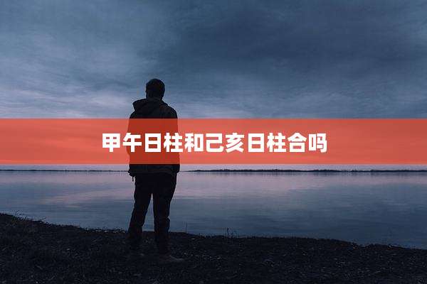 甲午日柱和己亥日柱合吗