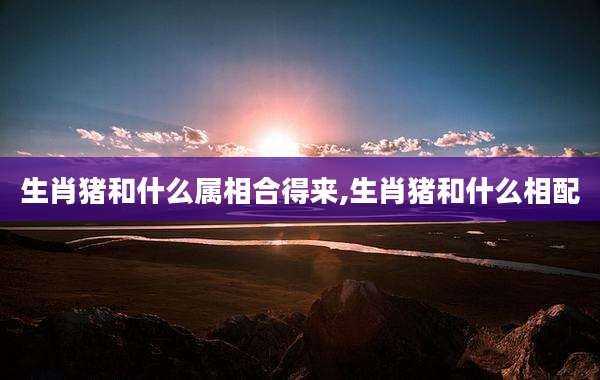 生肖猪和什么属相合得来,生肖猪和什么相配