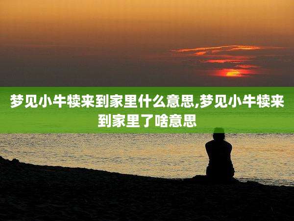 梦见小牛犊来到家里什么意思,梦见小牛犊来到家里了啥意思