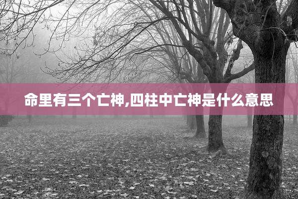 命里有三个亡神,四柱中亡神是什么意思