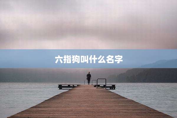六指狗叫什么名字