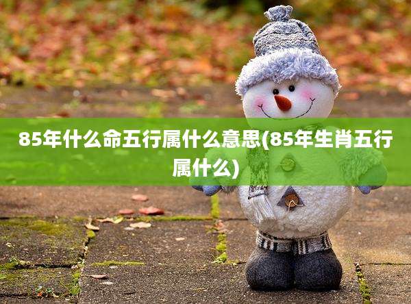 85年什么命五行属什么意思(85年生肖五行属什么)