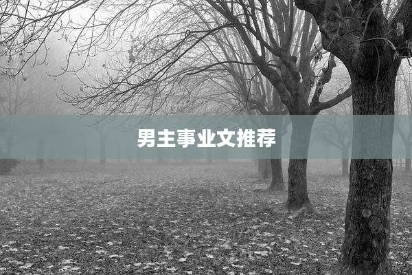 男主事业文推荐