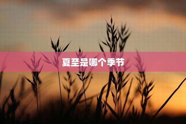 夏至是哪个季节