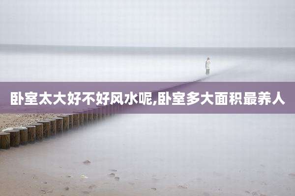 卧室太大好不好风水呢,卧室多大面积最养人