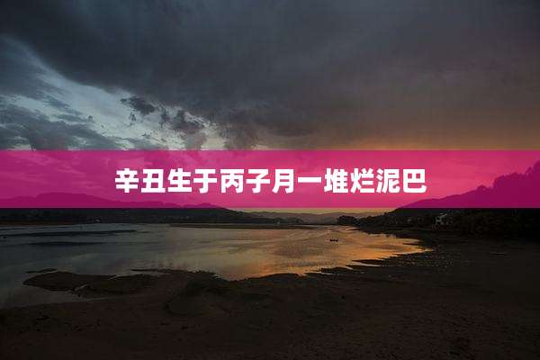 辛丑生于丙子月一堆烂泥巴