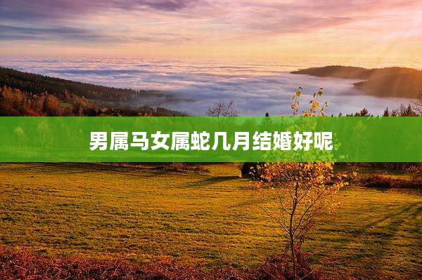 男属马女属蛇几月结婚好呢