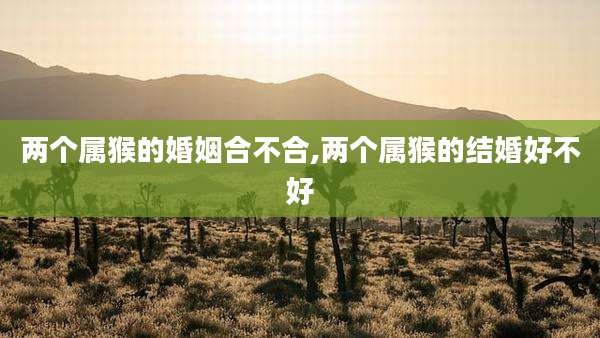 两个属猴的婚姻合不合,两个属猴的结婚好不好