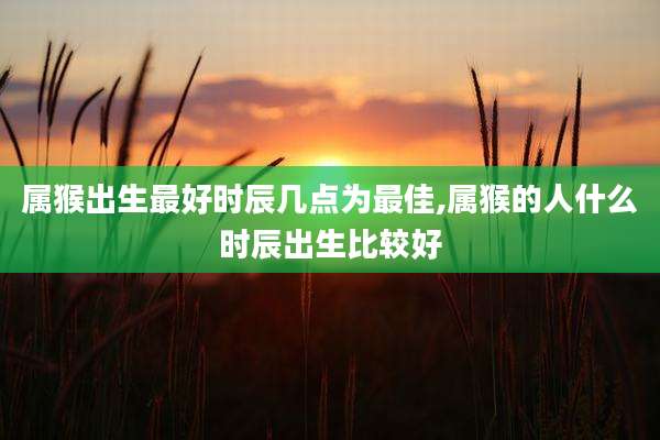 属猴出生最好时辰几点为最佳,属猴的人什么时辰出生比较好