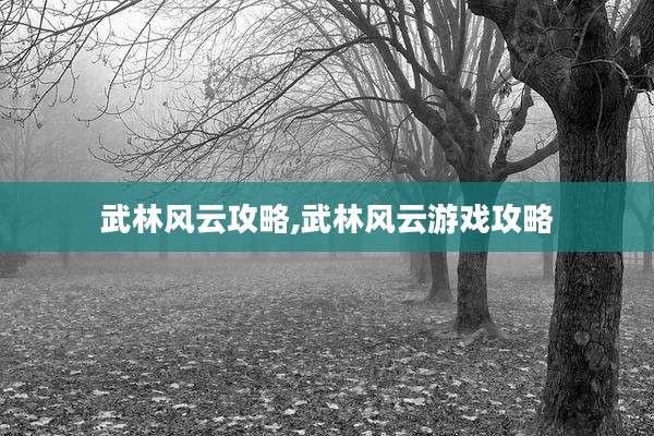武林风云攻略,武林风云游戏攻略