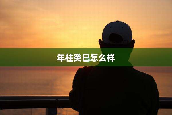年柱癸巳怎么样