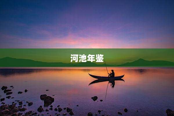 河池年鉴