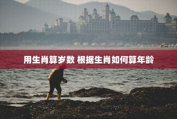 用生肖算岁数 根据生肖如何算年龄