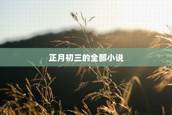 正月初三的全部小说