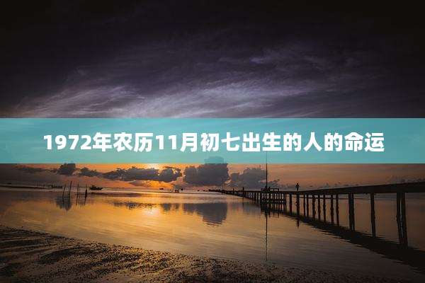 1972年农历11月初七出生的人的命运