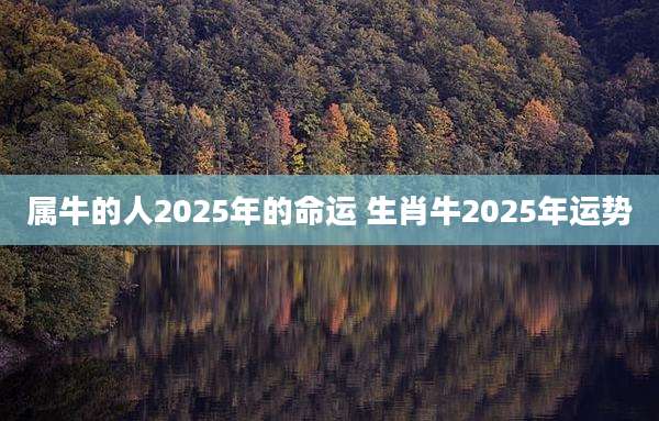 属牛的人2025年的命运 生肖牛2025年运势