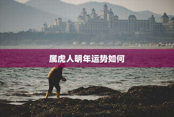 属虎人明年运势如何