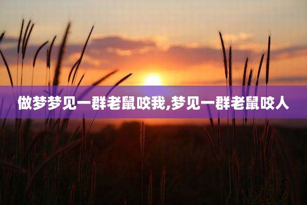 做梦梦见一群老鼠咬我,梦见一群老鼠咬人