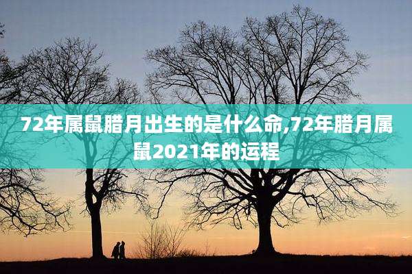 72年属鼠腊月出生的是什么命,72年腊月属鼠2021年的运程