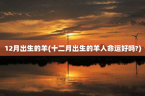 12月出生的羊(十二月出生的羊人命运好吗?)