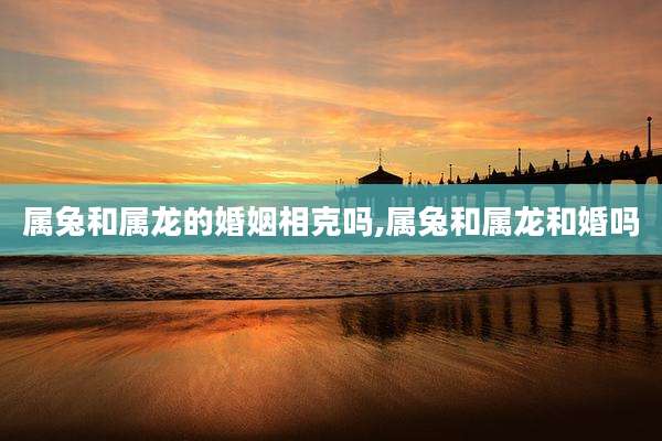 属兔和属龙的婚姻相克吗,属兔和属龙和婚吗
