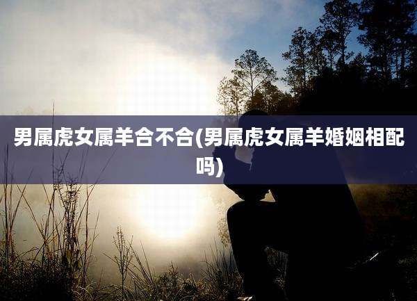 男属虎女属羊合不合(男属虎女属羊婚姻相配吗)