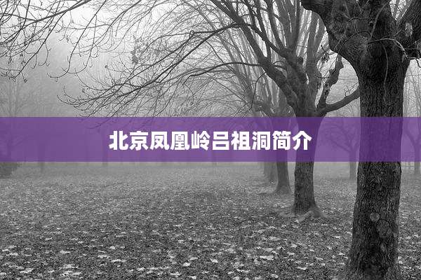 北京凤凰岭吕祖洞简介