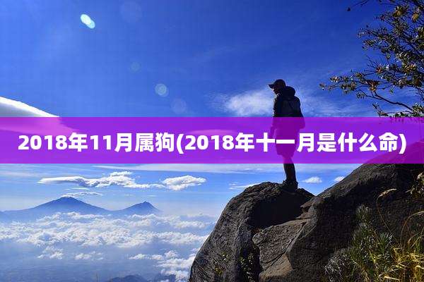 2018年11月属狗(2018年十一月是什么命)