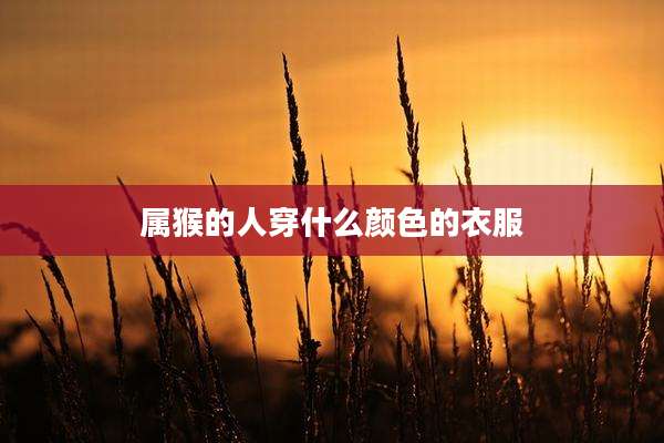 属猴的人穿什么颜色的衣服