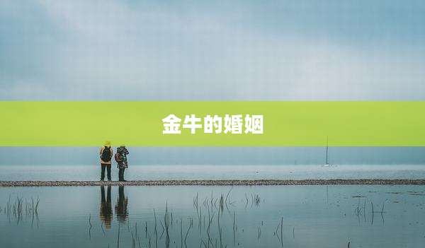金牛的婚姻