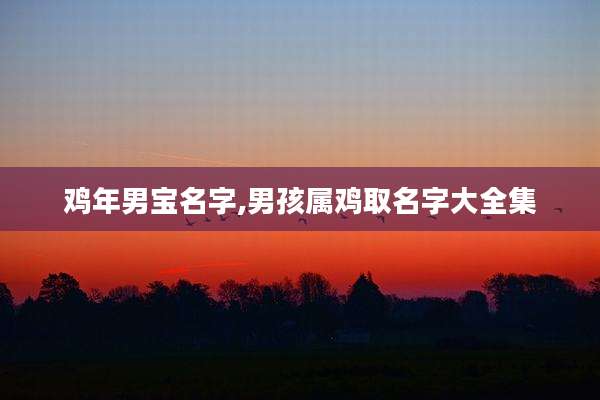 鸡年男宝名字,男孩属鸡取名字大全集