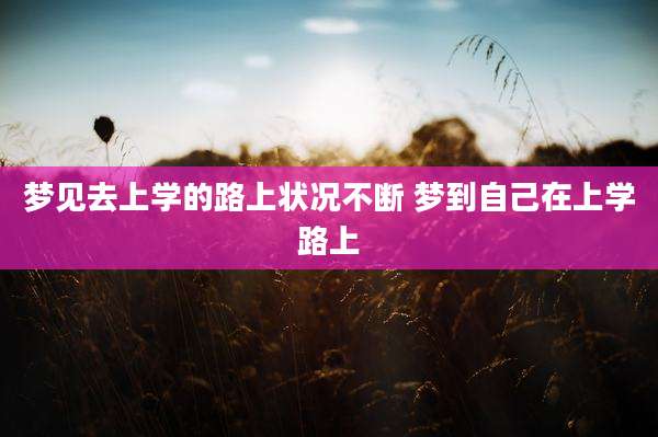 梦见去上学的路上状况不断 梦到自己在上学路上