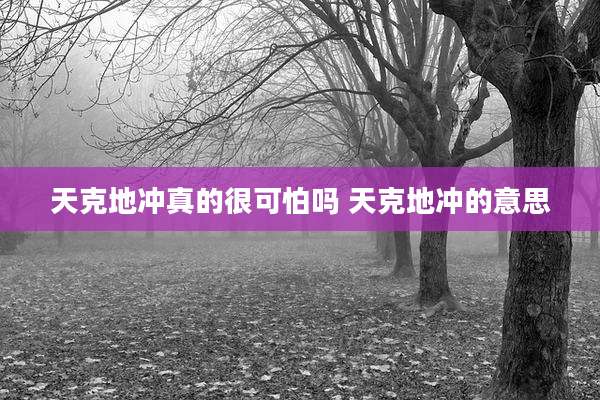 天克地冲真的很可怕吗 天克地冲的意思