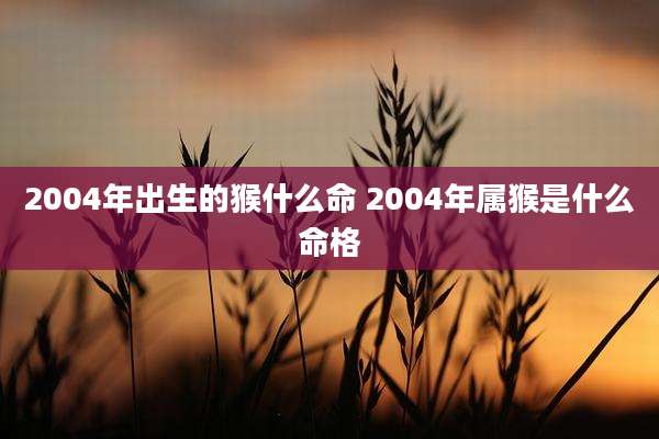 2004年出生的猴什么命 2004年属猴是什么命格