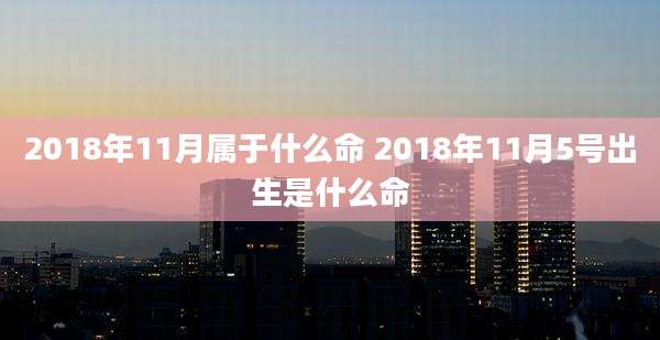 2018年11月属于什么命 2018年11月5号出生是什么命