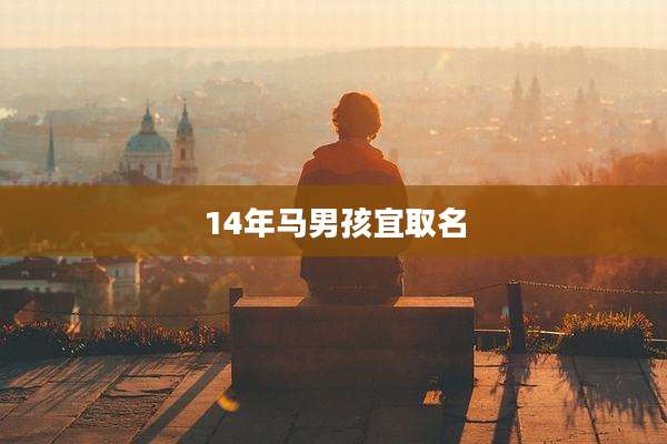 14年马男孩宜取名