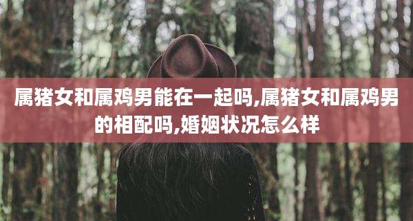 属猪女和属鸡男能在一起吗,属猪女和属鸡男的相配吗,婚姻状况怎么样