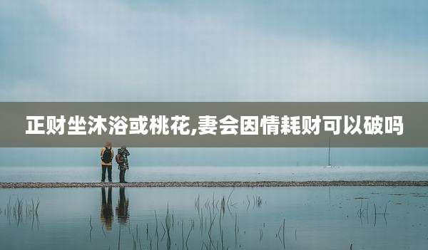 正财坐沐浴或桃花,妻会因情耗财可以破吗