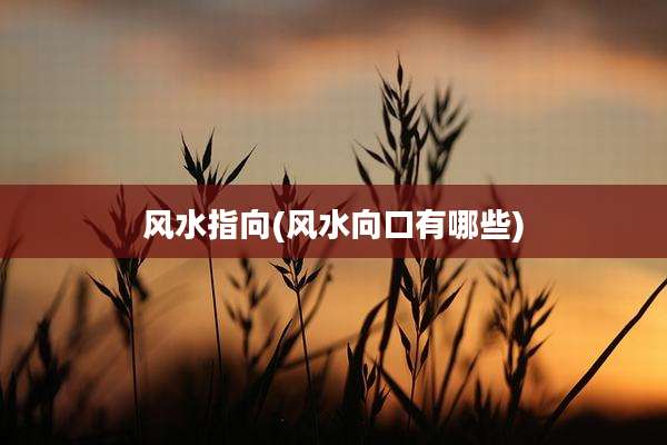 风水指向(风水向口有哪些)