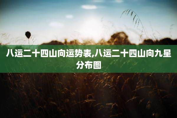 八运二十四山向运势表,八运二十四山向九星分布图
