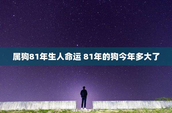 属狗81年生人命运 81年的狗今年多大了
