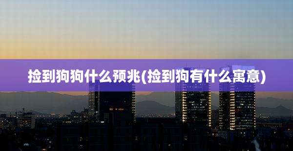 捡到狗狗什么预兆(捡到狗有什么寓意)