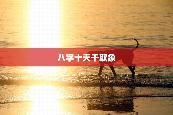 八字十天干取象
